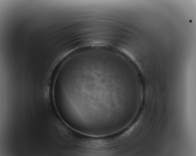 X0000088391066200705291403