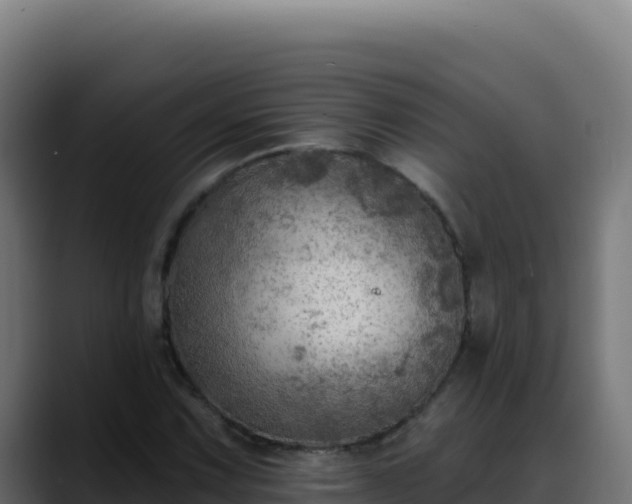 X0000088391067200705291403