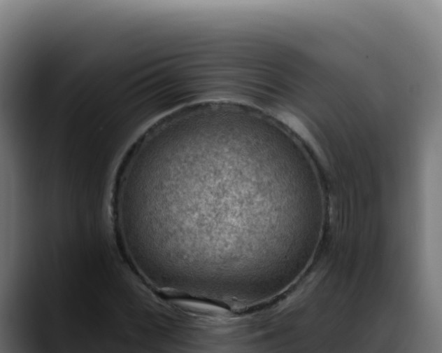 X0000088391068200705291403