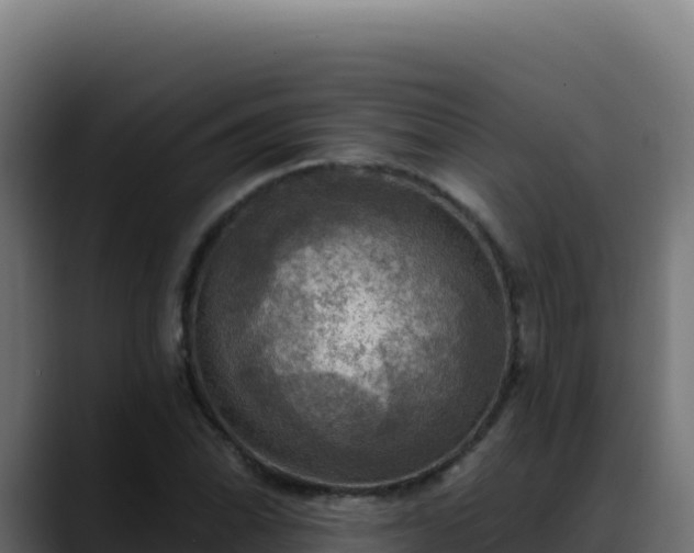 X0000088391070200705291403