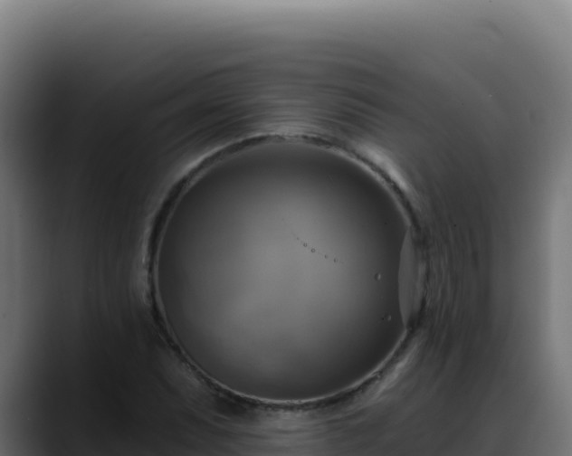 X0000088391071200705291403