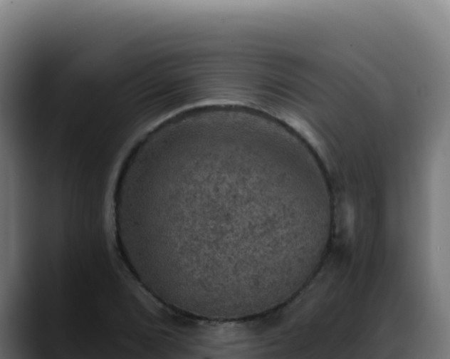 X0000088391072200705291403