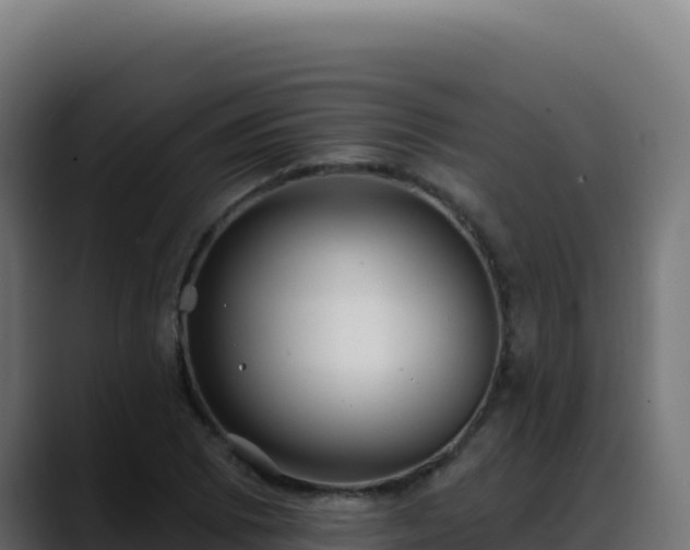 X0000088391073200705291403