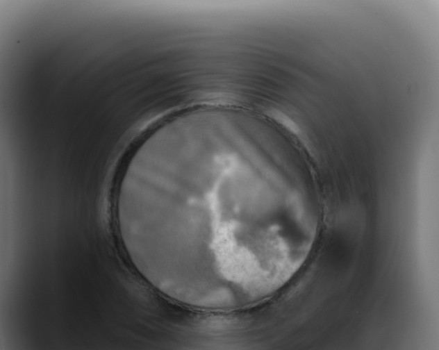 X0000088391074200705291403