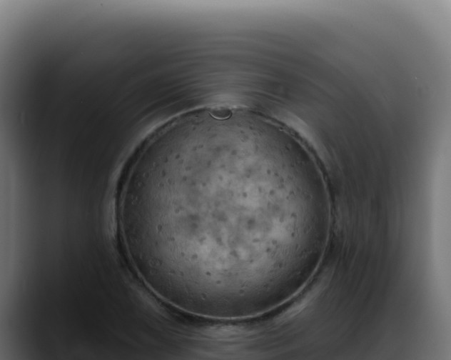 X0000088391075200705291403