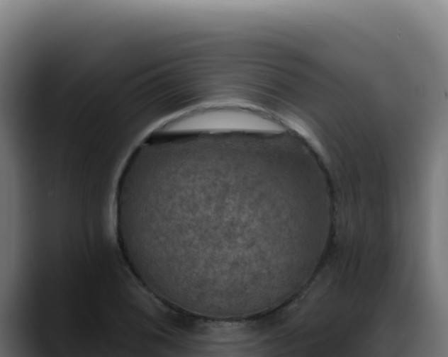 X0000088391076200705291403