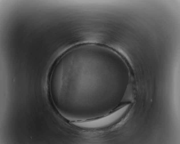 X0000088391077200705291403