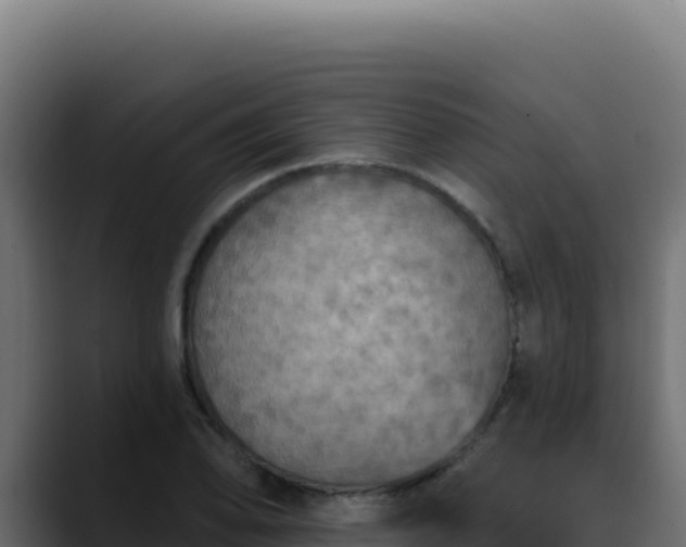 X0000088391078200705291403