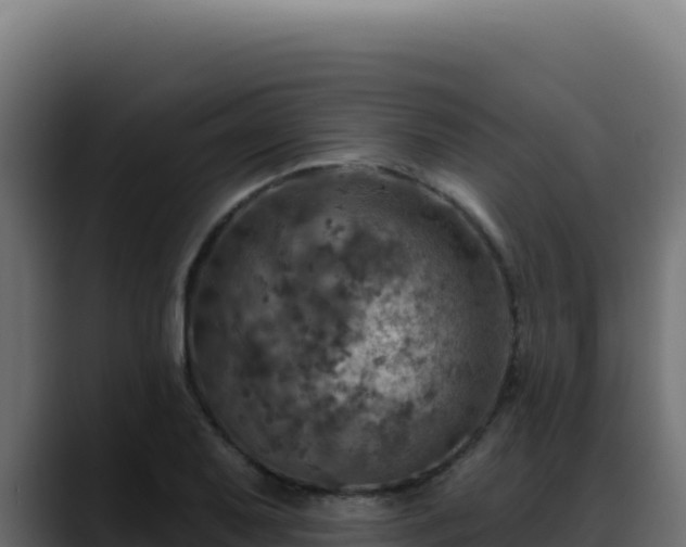 X0000088391079200705291403