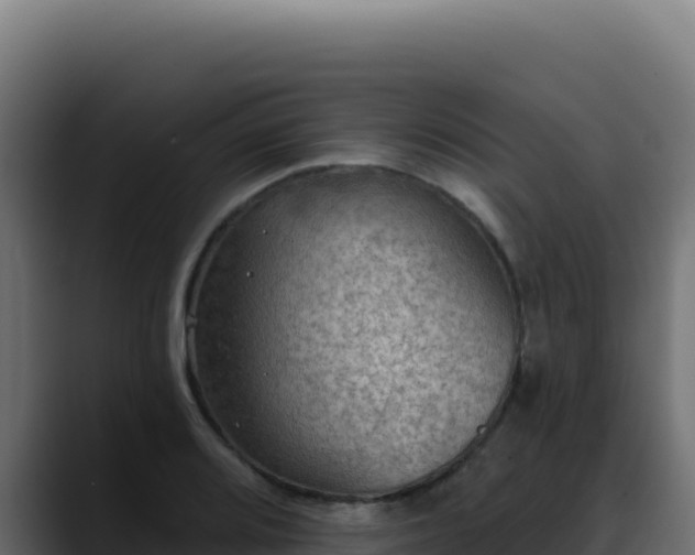 X0000088391080200705291403