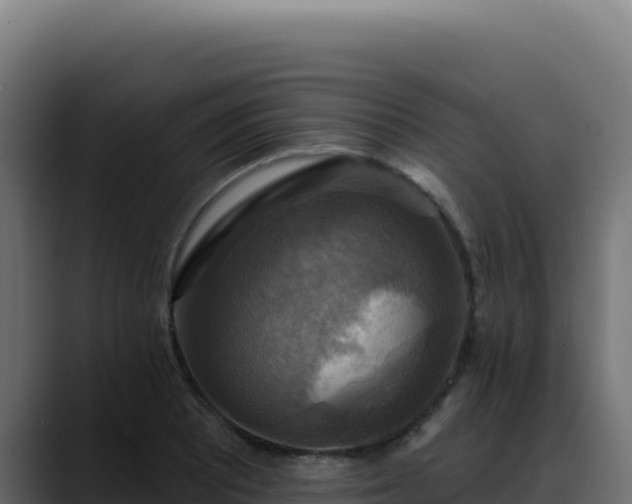 X0000088391081200705291403