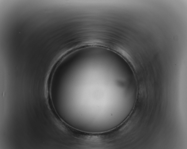 X0000088391082200705291403