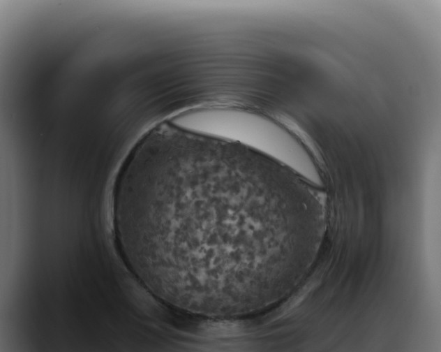 X0000088391083200705291403