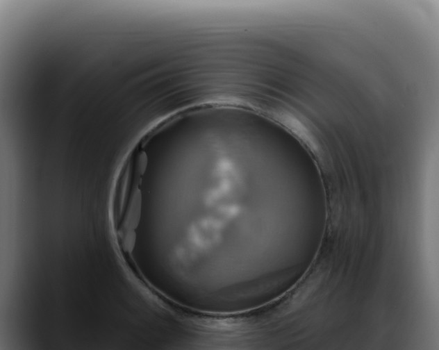 X0000088391084200705291403