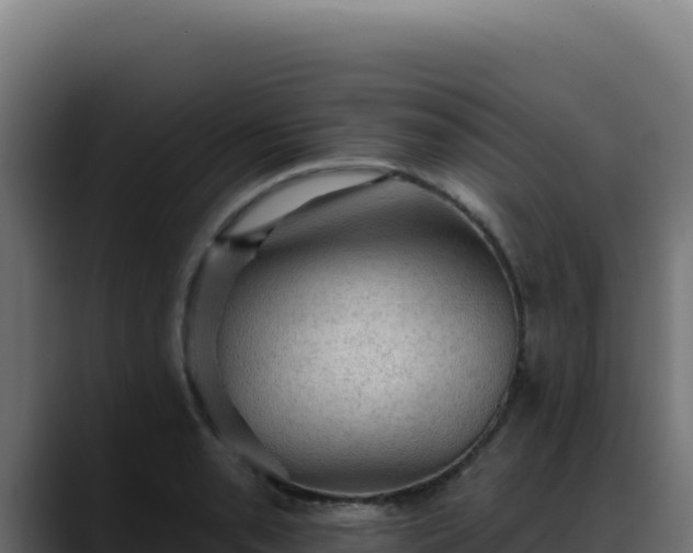 X0000088391085200705291403