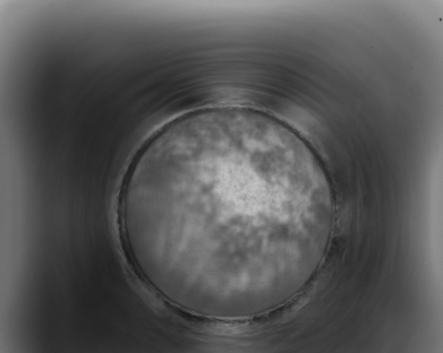 X0000088391086200705291403