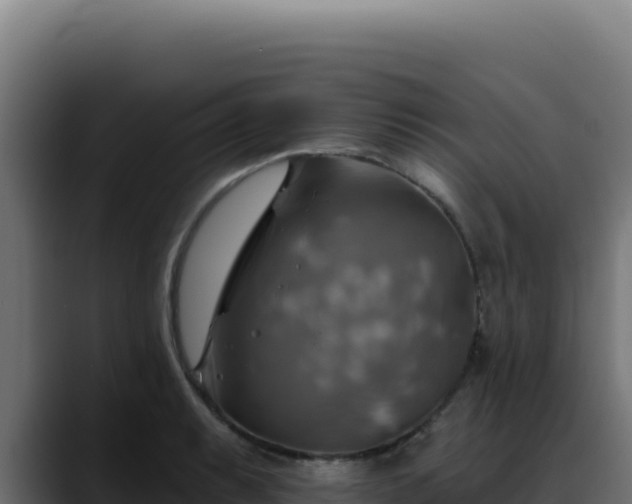 X0000088391087200705291403