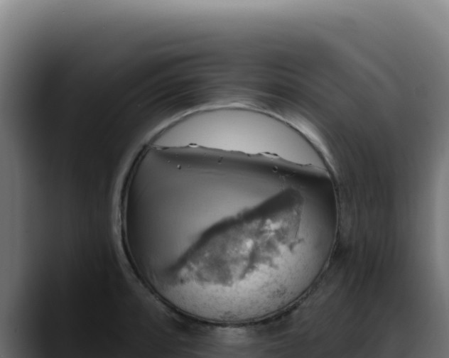 X0000088391088200705291403