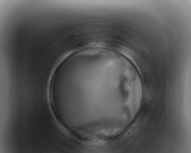 X0000088391090200705291403