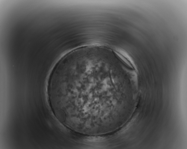 X0000088391091200705291403