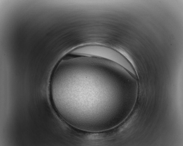 X0000088391093200705291403