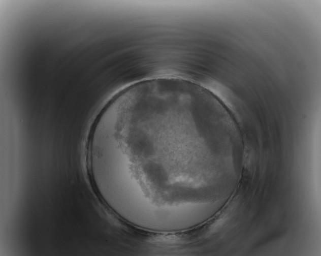 X0000088391094200705291403