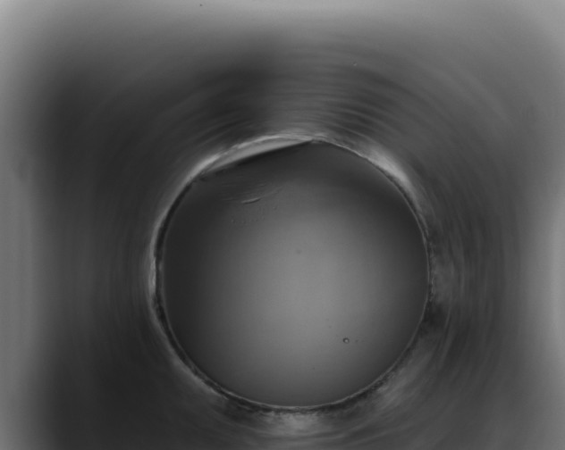 X0000088391095200705291403