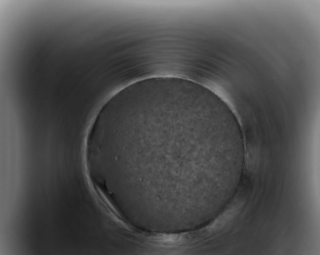 X0000088391096200705291403