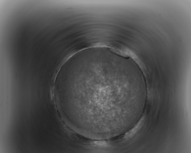 X0000088391097200705291403