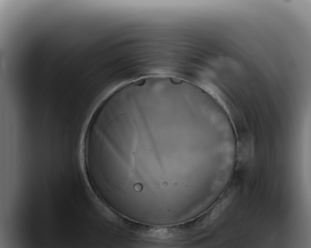 X0000088391098200705291403