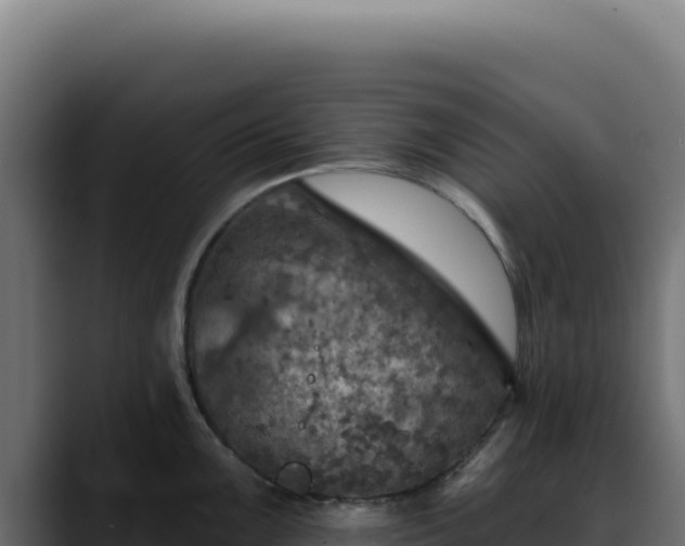 X0000088391099200705291403