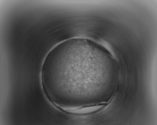 X0000088391100200705291403