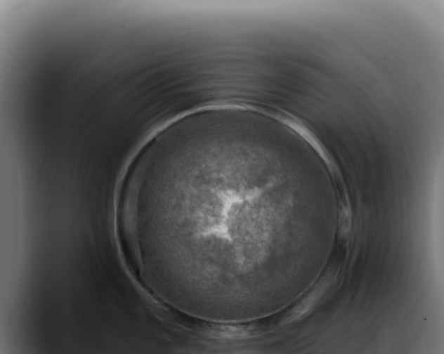 X0000088391101200705291403