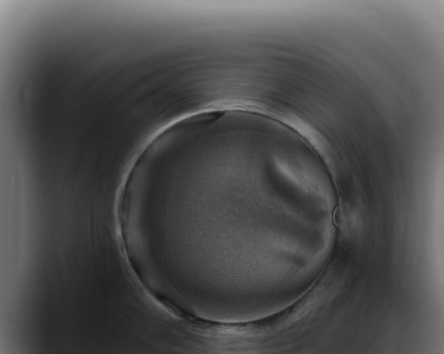 X0000088391102200705291403