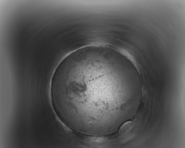 X0000088391103200705291403