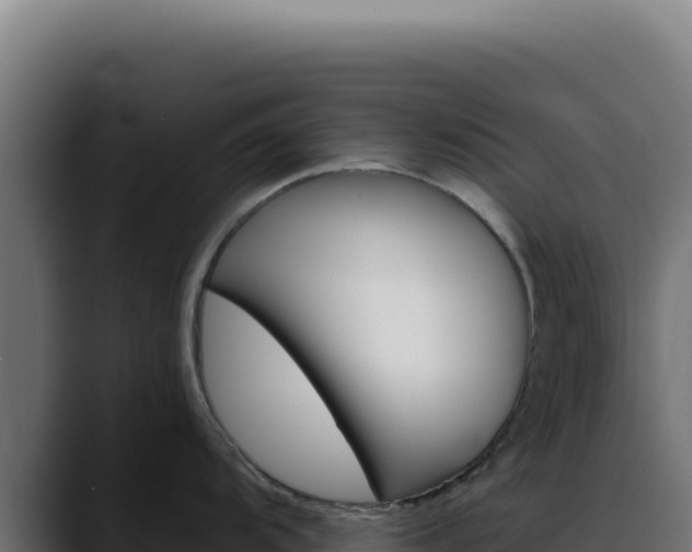 X0000088391104200705291403