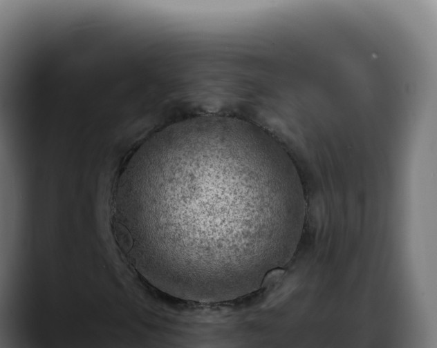 X0000088391105200705291402