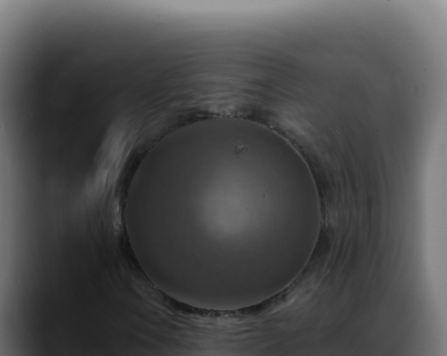 X0000088391106200705291402