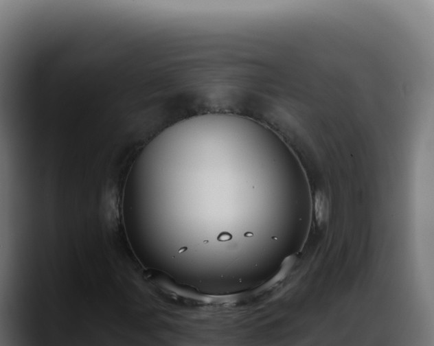 X0000088391107200705291402