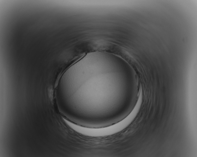 X0000088391108200705291402