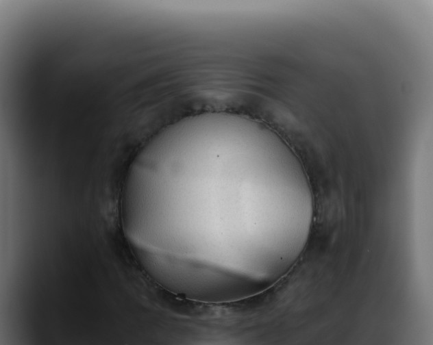 X0000088391109200705291402