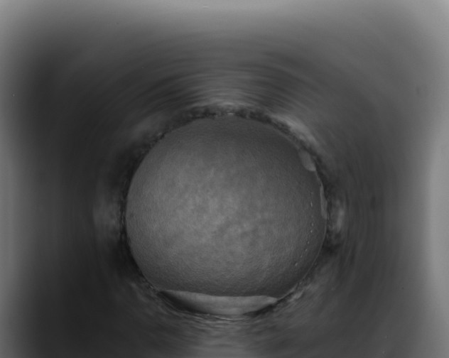 X0000088391110200705291402