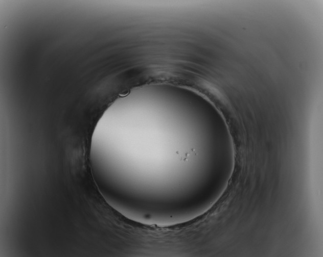 X0000088391111200705291402