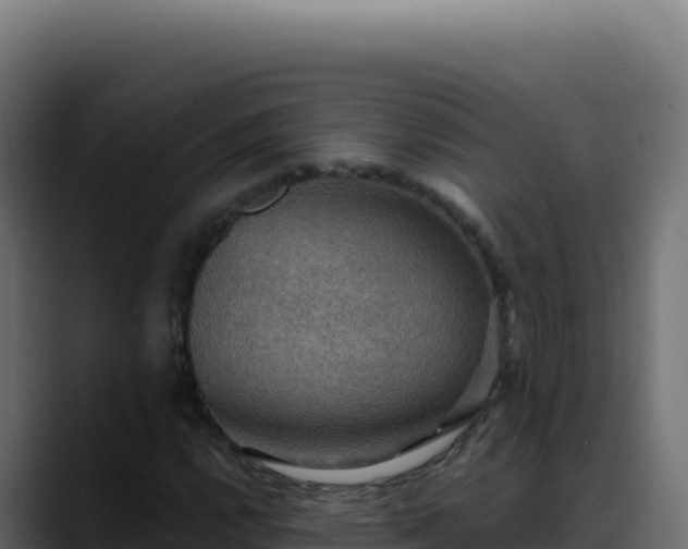 X0000088391112200705291402