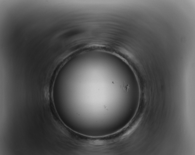 X0000088391113200705291402