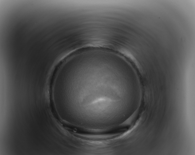 X0000088391114200705291402