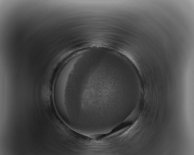 X0000088391115200705291402