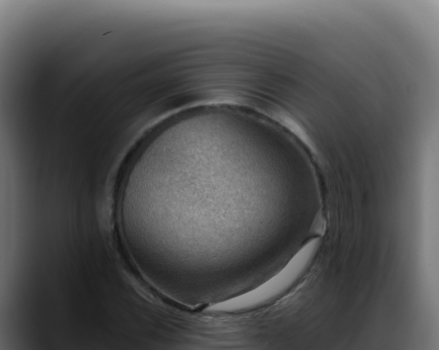 X0000088391116200705291402