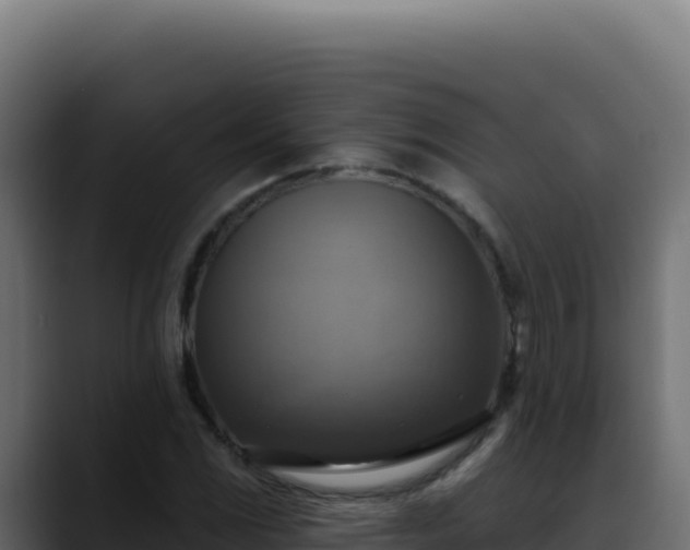 X0000088391117200705291402