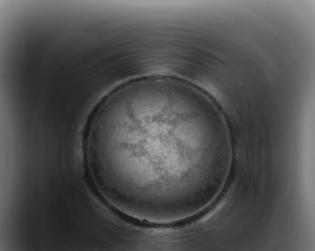 X0000088391118200705291402